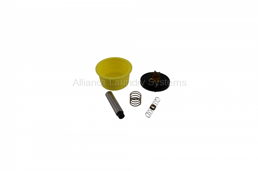 Valve repair kit