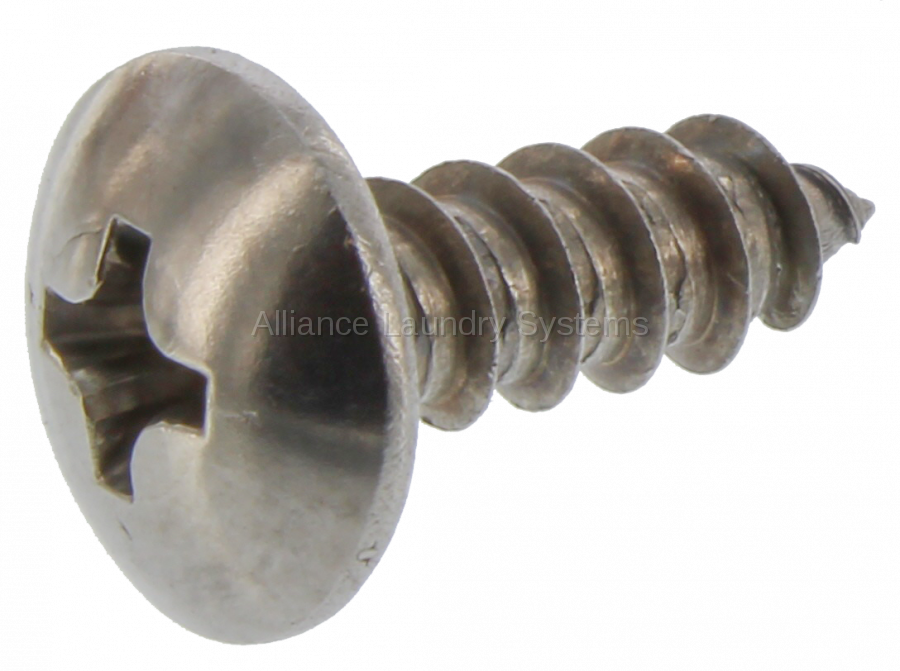 Washer Screw