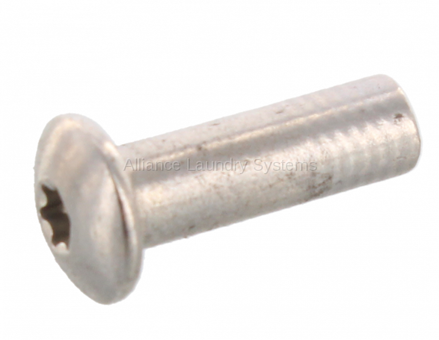 Washer Screw