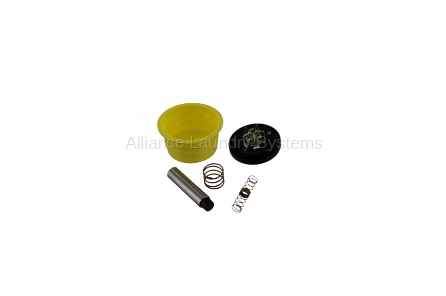 Valve repair kit