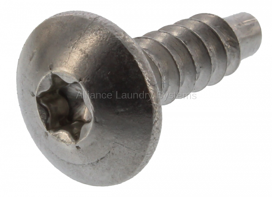 Washer screw