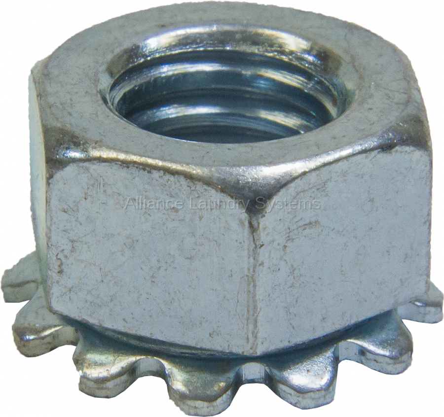 Hex Nut